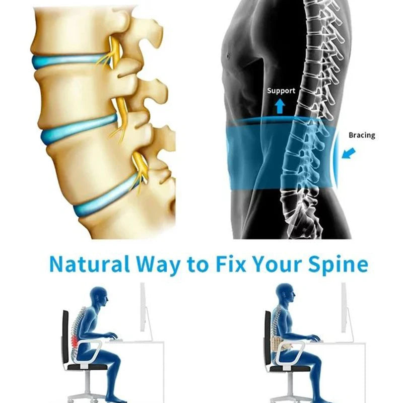 SpineCare Belt